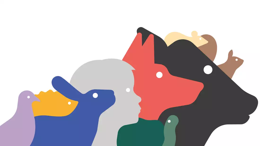 An illustration showing a group of animals in profile - a pigeon, hedgehog, rabbit, human child, tortoise, dog, cow, mouse and a squirrel.
