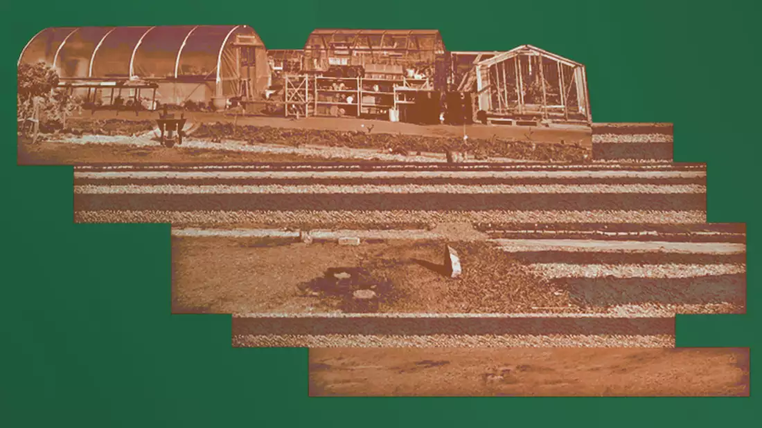 Abstract image of MUD gardens