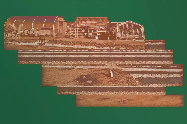 Abstract image of MUD gardens