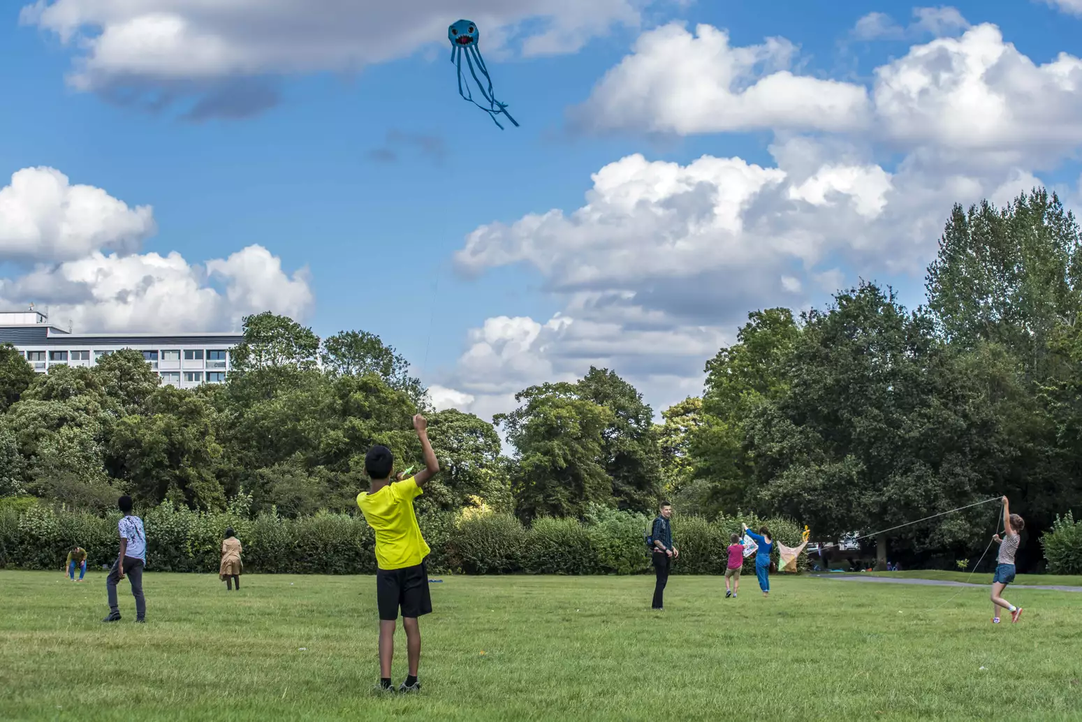 A boy in a green t-shirt with his back to the camera flies a kite in a park. The sky is blue with some clouds and in the background other people are looking up at the kite.