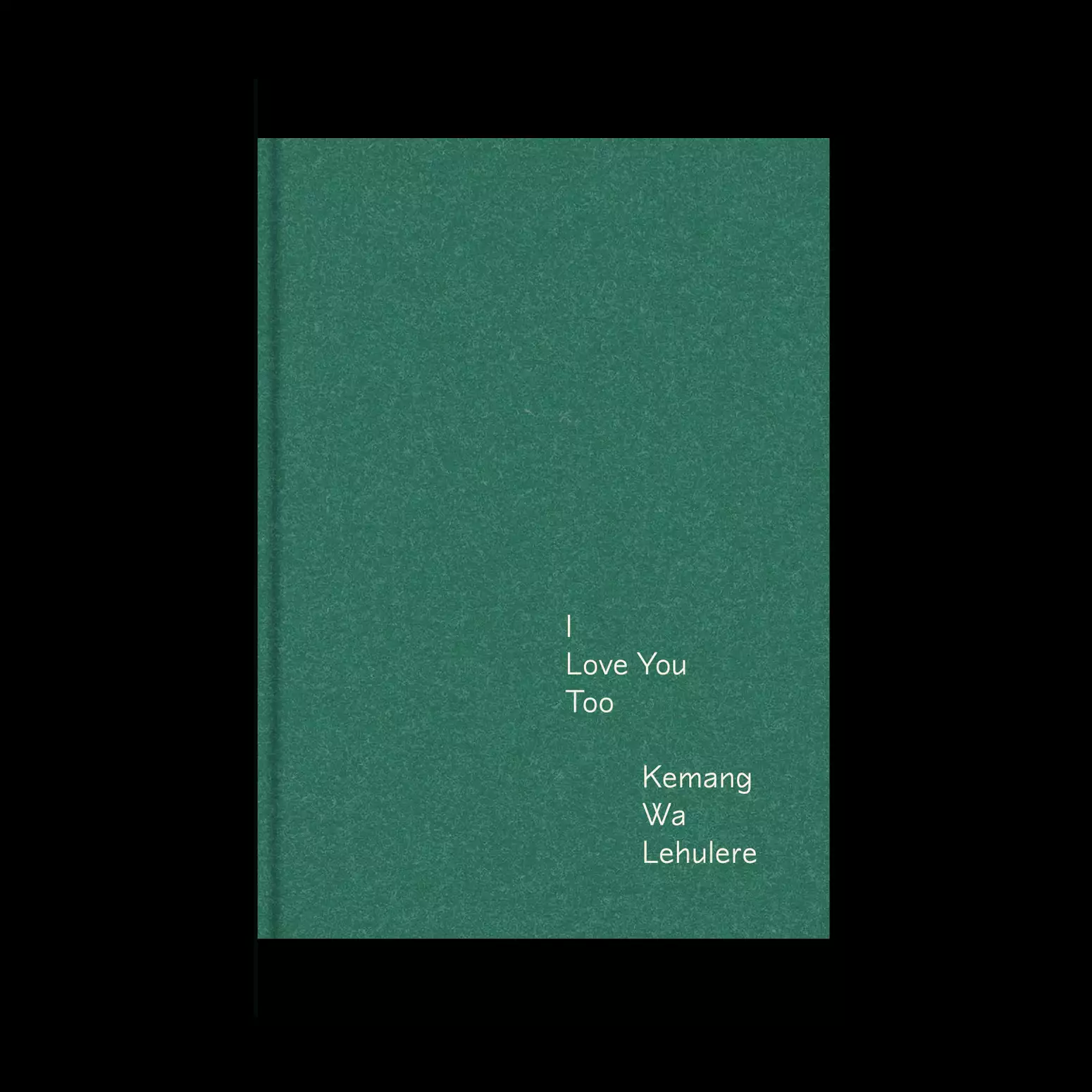 The cover of the book I Love You Too